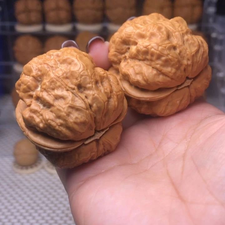 把件文玩核桃68号金蟾疙瘩包46尺