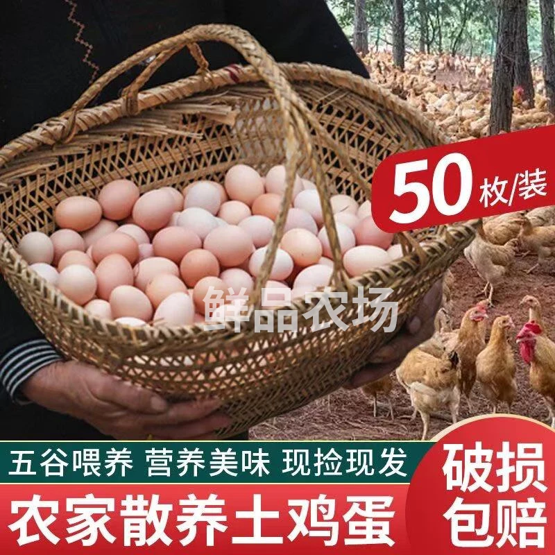 【鲜品】农家放养新鲜粉壳土鸡蛋 共50枚装/2000g 破损包赔