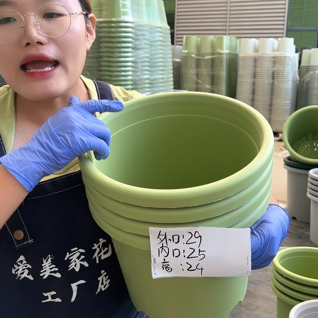 四季盆5#果绿色6个无托