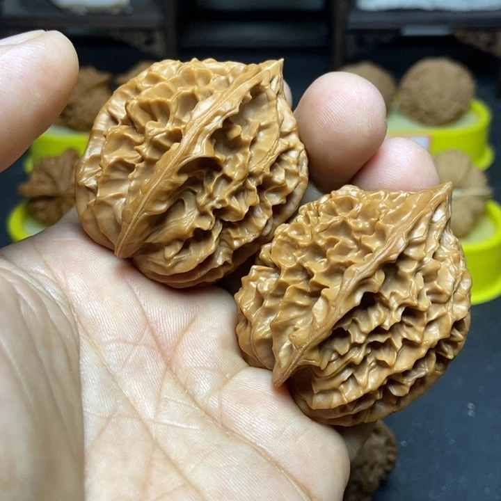 核桃鹿****r招财鼠-白狮子