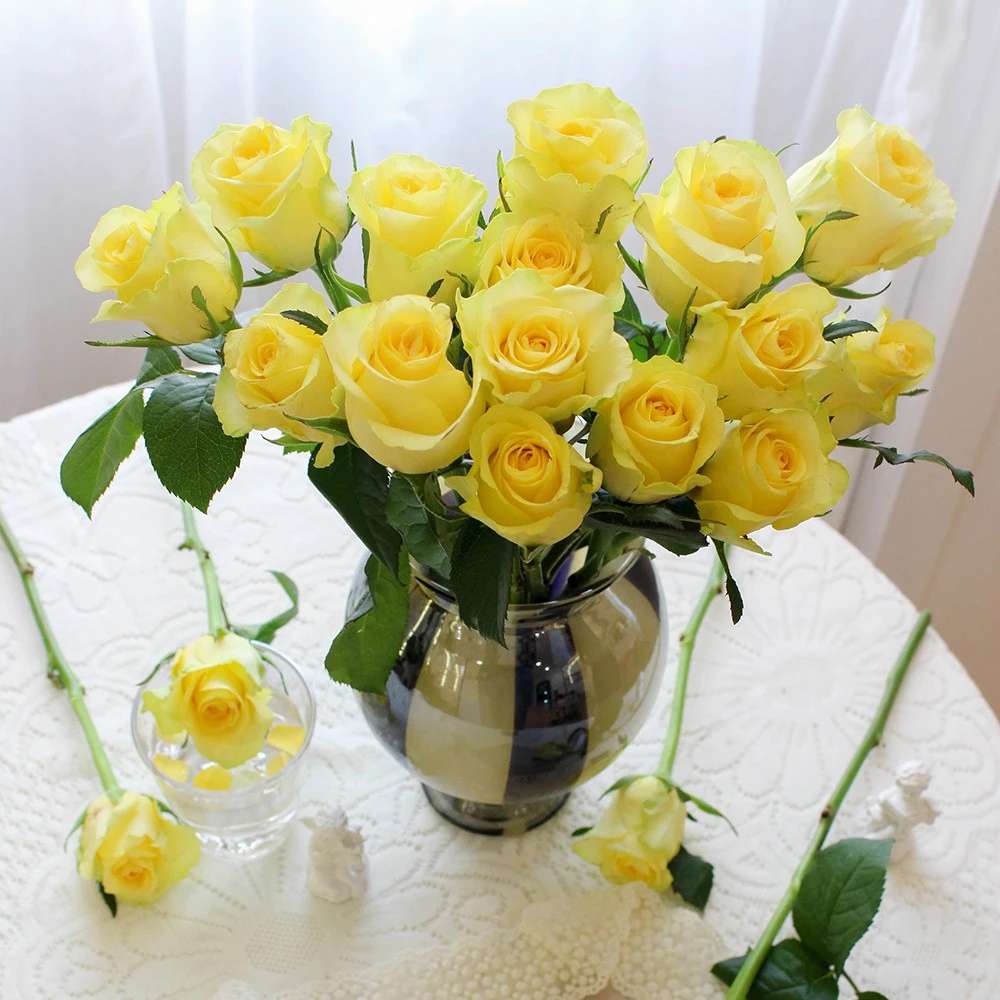 20枝黄玫瑰洋桔梗朦胧的绿黄色外瓣稀有高端基地颜色
