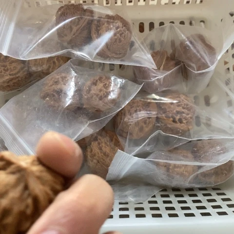 王***敏文玩核桃把件哈哈哈