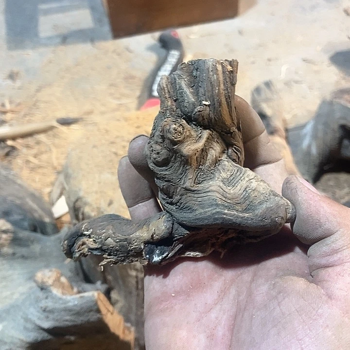 柏木古**世太行山区柏木木木