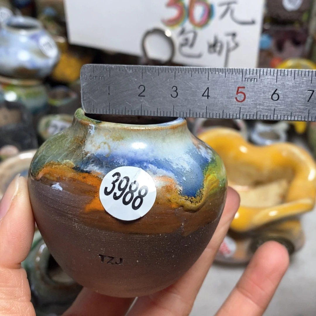 花盆拍5个送一个小礼物