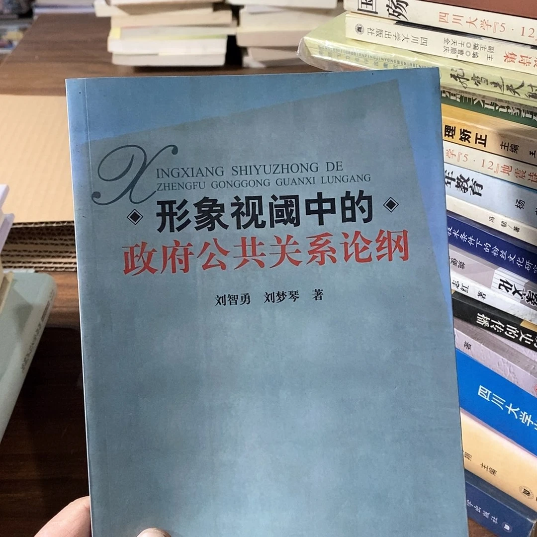 形象视阀中的政府公共关系论纲