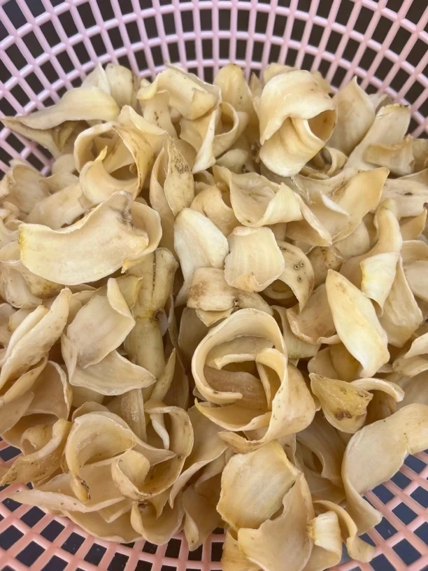 山村好货—云南特产龙牙百合