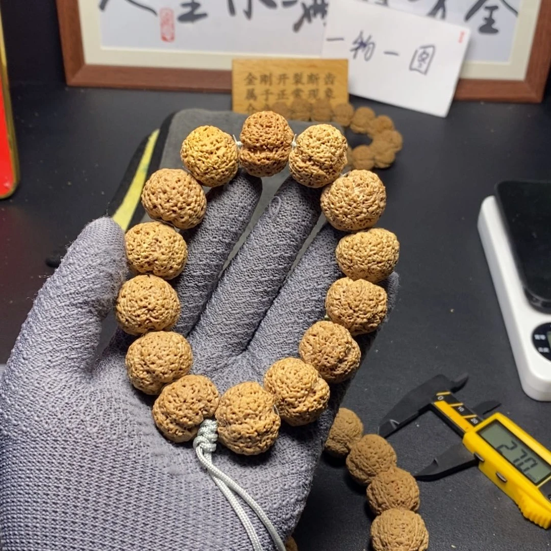 木质金刚菩提菠萝蜜666号