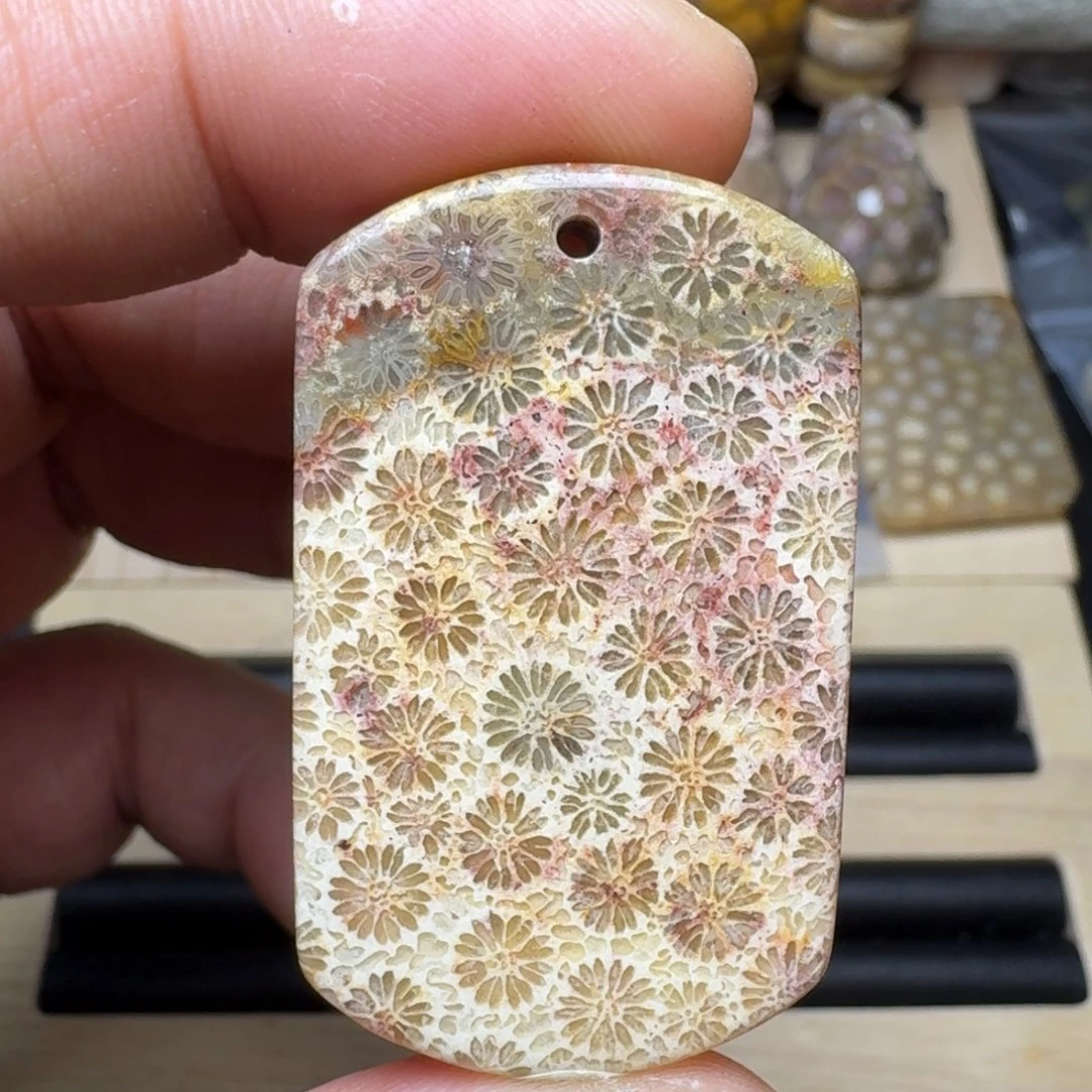 硅化珊瑚（珊瑚玉）未镶嵌纯天然色有机玉石保真色