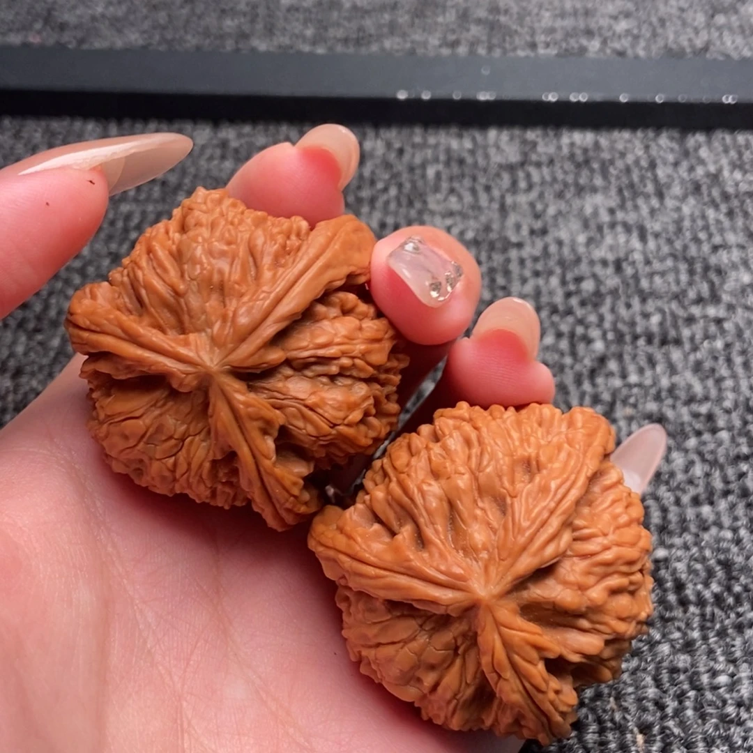 万***寻木质类白狮子正奔