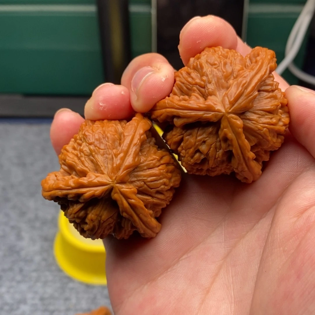 【闪购商品】子**爹40白狮子1111111111