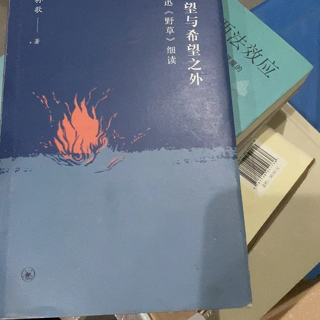 微瑕……绝望与希望之外…微瑕