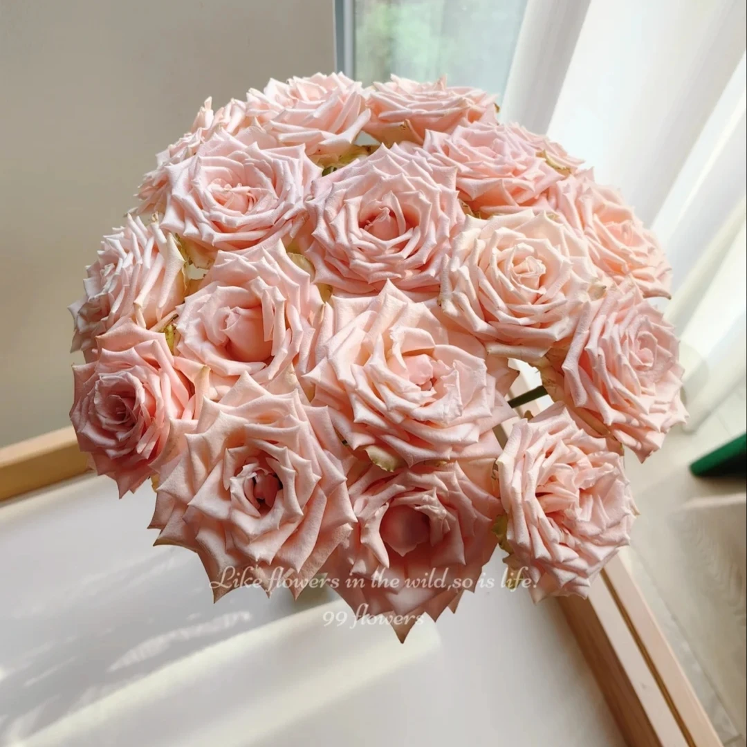 杏仁奶糖单头玫瑰，全场任意买两单及以上鲜花包邮