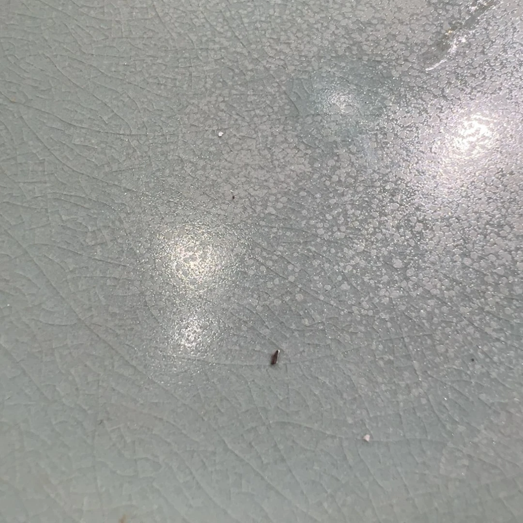 红***莲瓷片我也是很喜欢这个节目的呢我们