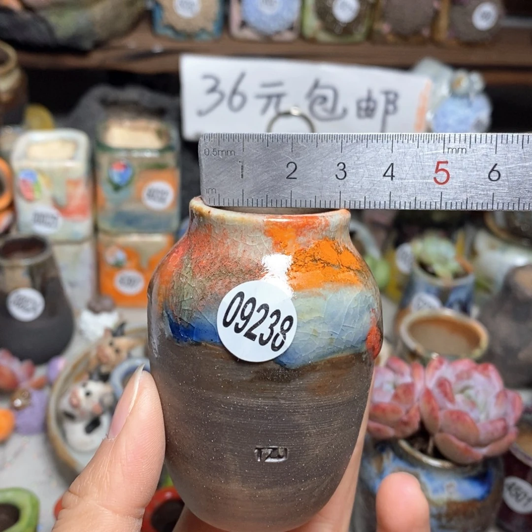 花盆拍5送一个小礼物