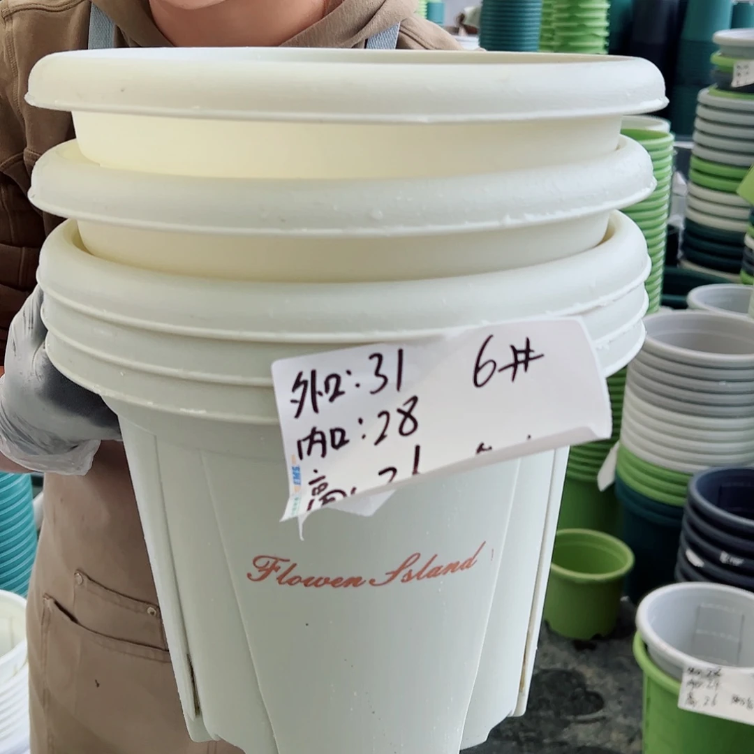 青山盆6#米白色5个无托