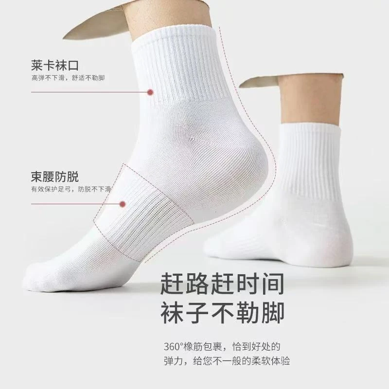 01  中筒袜新疆棉 袜子