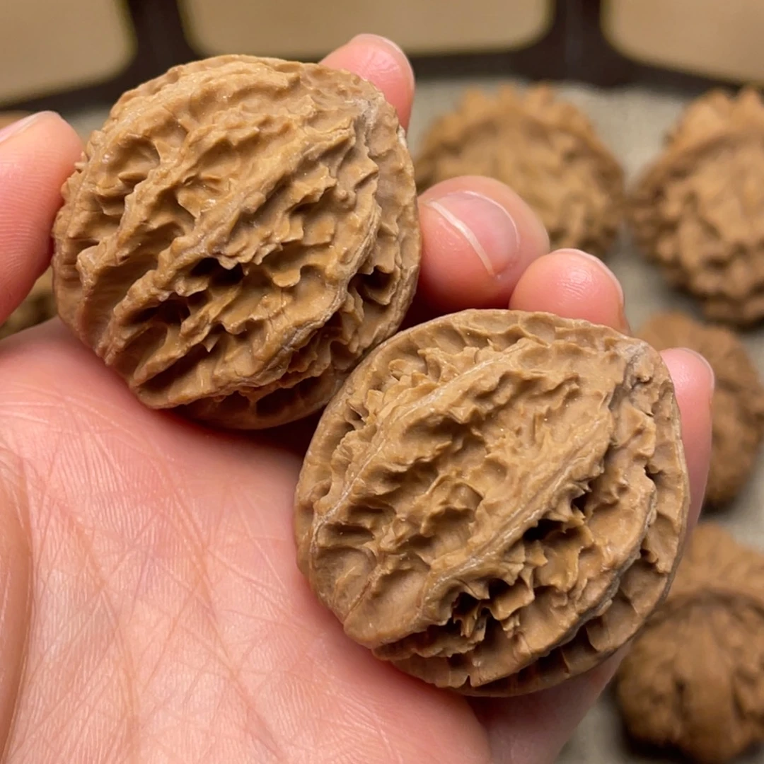 核桃秦岭野生核桃6号