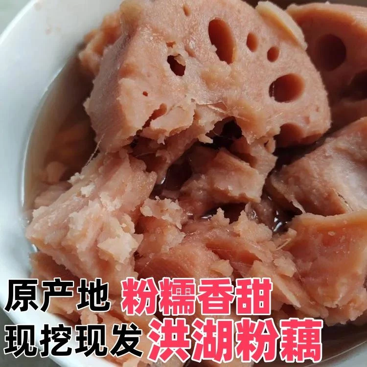 湖北洪湖新鲜现挖正宗煲汤粉藕九孔红莲藕新鲜粉藕早餐自己