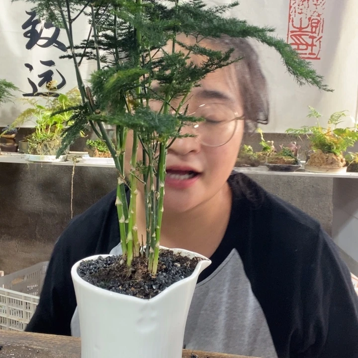 秋***云无花朵一物一拍130
