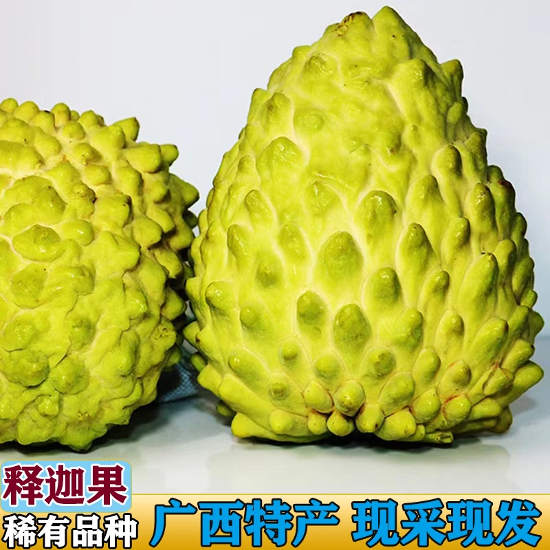 【开园特惠】广西直发新鲜牛奶凤梨释迦果纯甜鲜果现摘秋冬热带水果