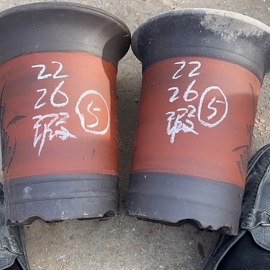 紫砂工艺厂……紫砂工艺厂……