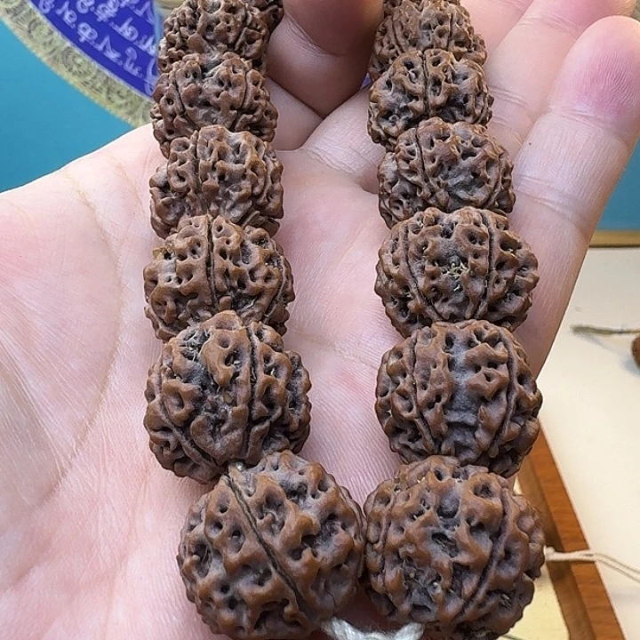 金刚菩提手串原生态大金刚双龙