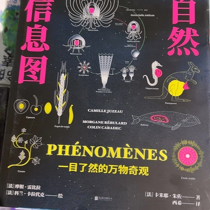 微瑕自然信息图超大