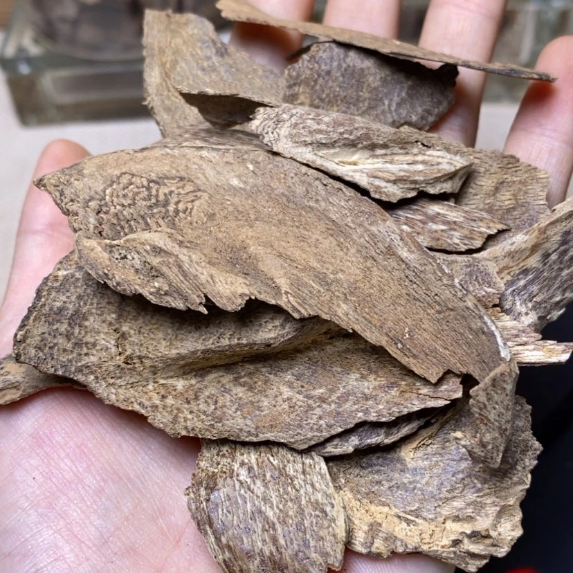 【闪购商品】那**月海南壳子10克
