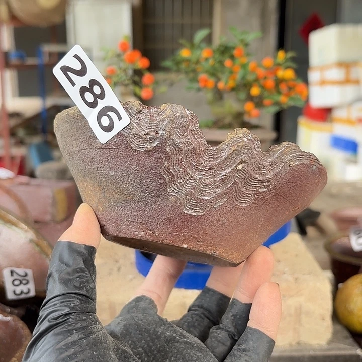 瑞***瑞286//////////////////////