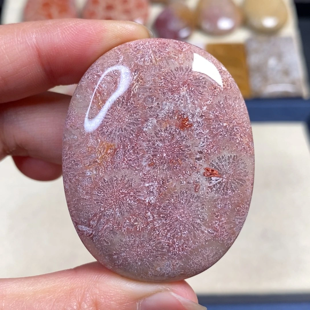 硅化玉未镶嵌吊坠