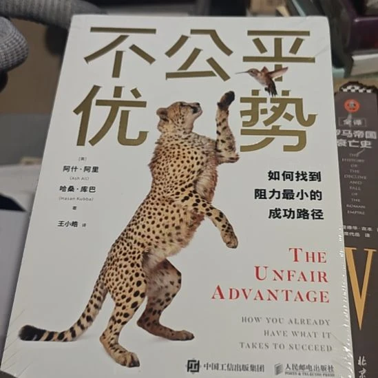 不公平的优势平装库存书