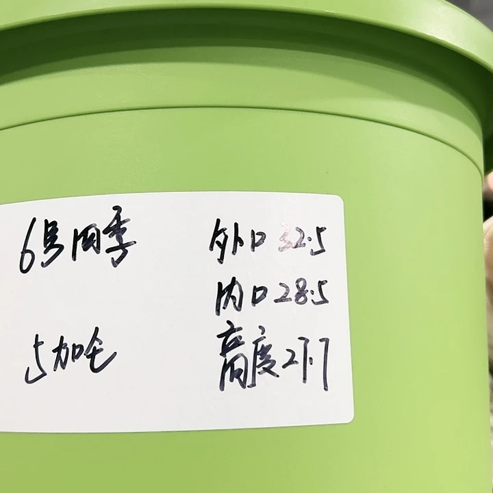 特价6号四季口32高28白色4个无托