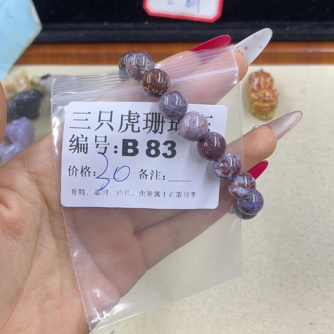 王****硅化珊瑚（珊瑚玉）h未镶嵌