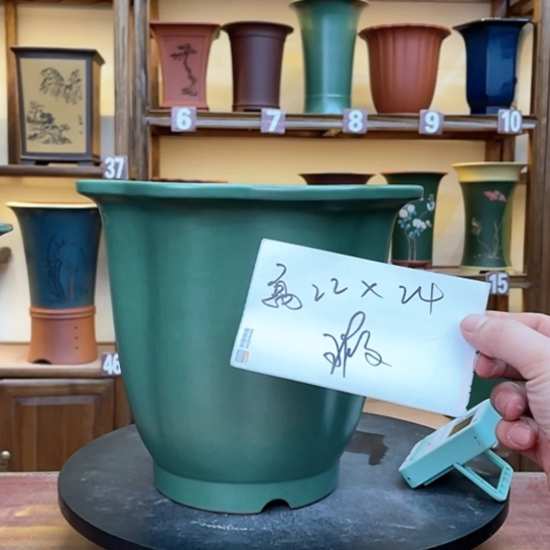 【闪购商品】紫砂花盆龙****犬兰花643464884646446848