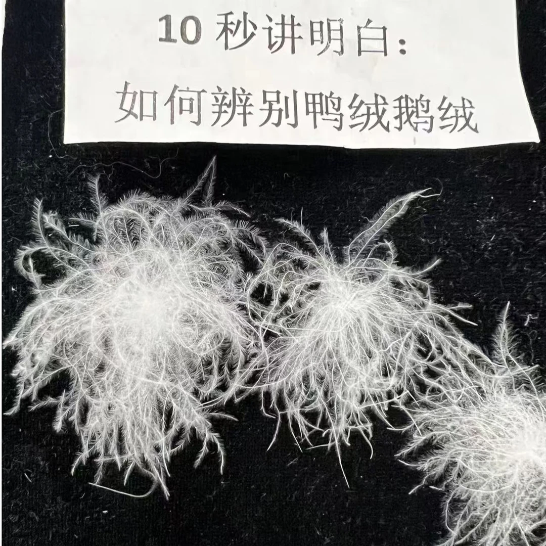 现场充绒羽绒被95白鸭绒精选吊吊绒高档酒店秋冬【散装羽绒一两绒】