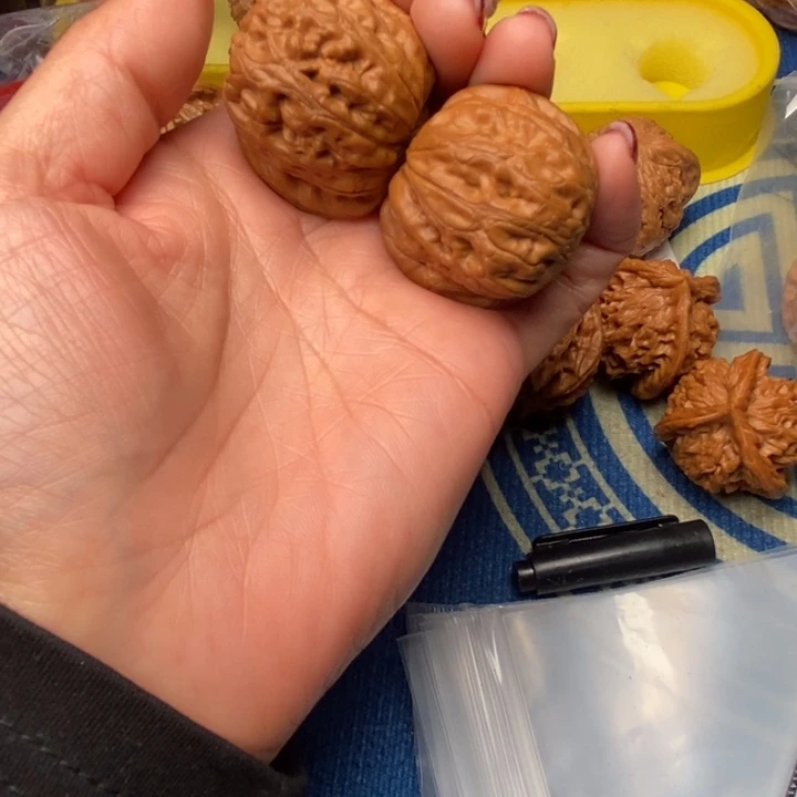 北***赁吊坠桃核元宝核桃