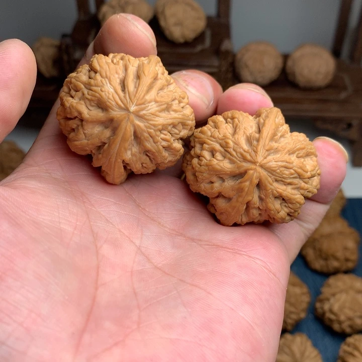 手串/手链核桃39尺大粗筋