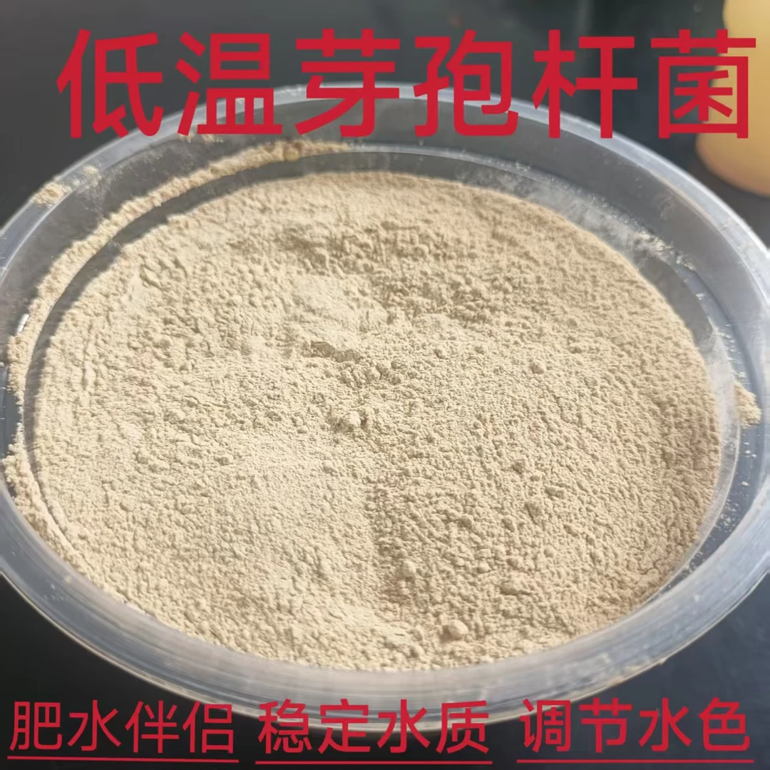 胡冰推荐 低温芽孢 枯草芽孢杆菌 嗜冷芽孢杆菌