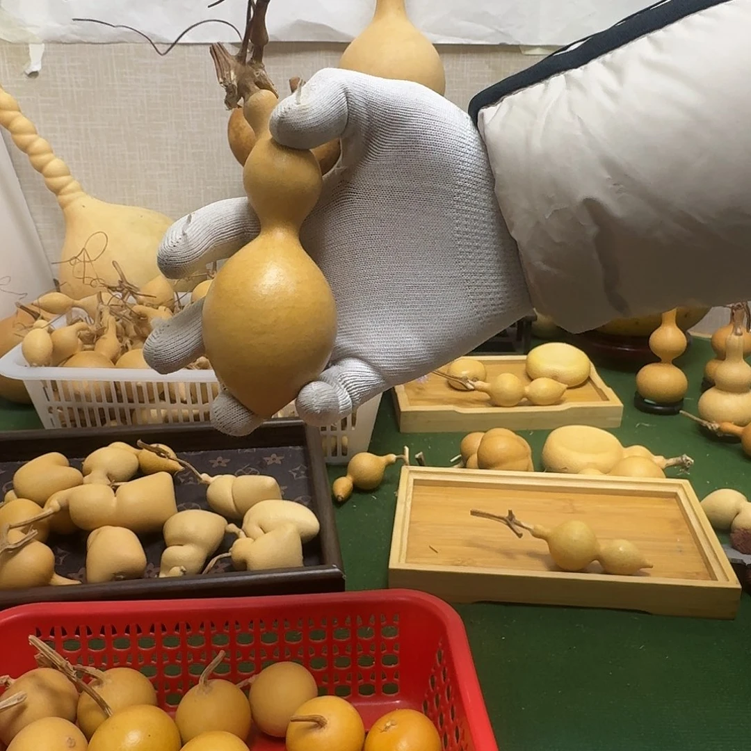 叫***～葫芦11111111111111