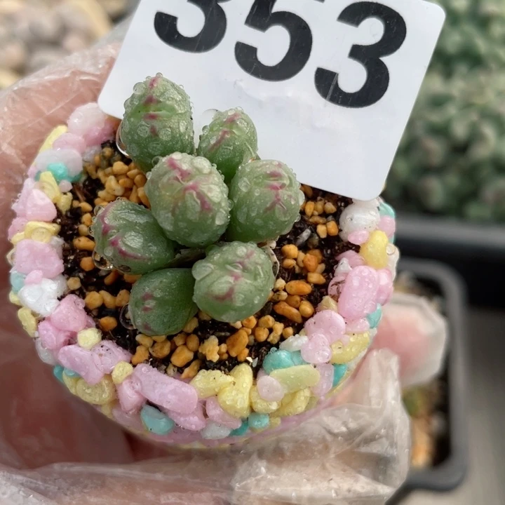 简*353嘟嘟嘴流水铜壶带盆