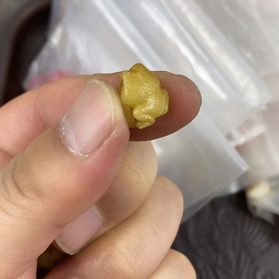 驼骨手串/手链配饰12