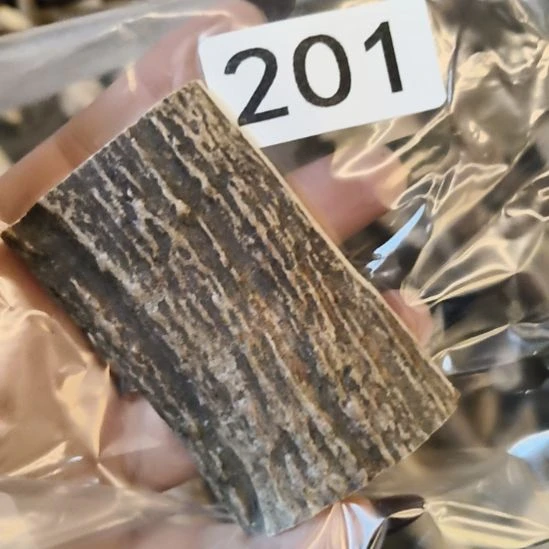 一****鹿角鹿角鹿角鹿角鹿角鹿角鹿角鹿角鹿角