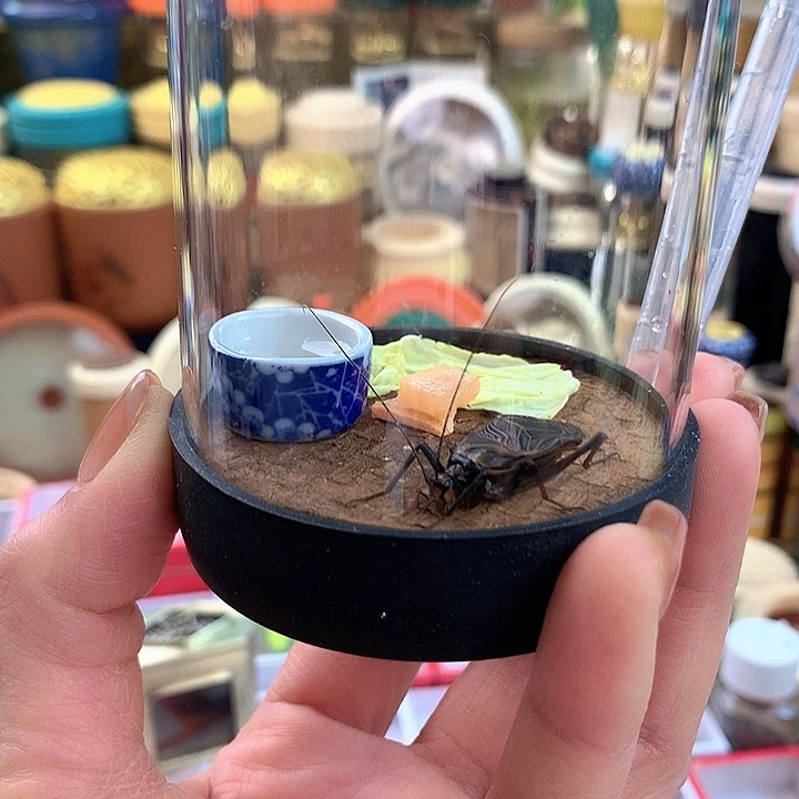 麒麟套装啊啊啊啊啊啊