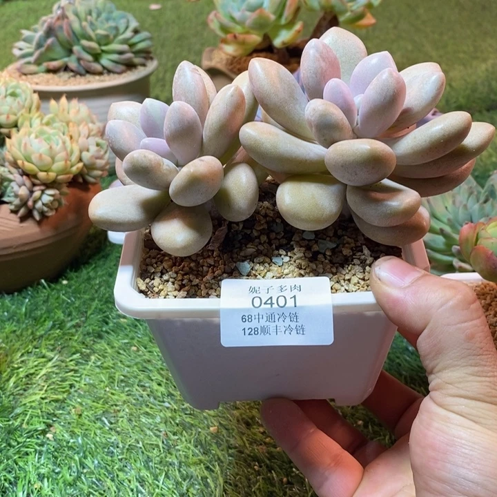 0401啊啊啊啊啊啊啊啊啊