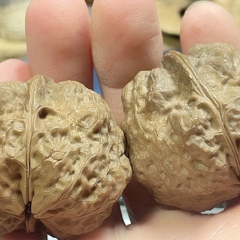 文玩核桃把件@*淡木氏蛤蟆头带彩磕尖41