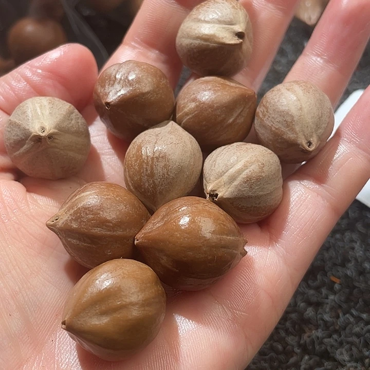 ****k橄榄核吊坠1.9✖️2.4