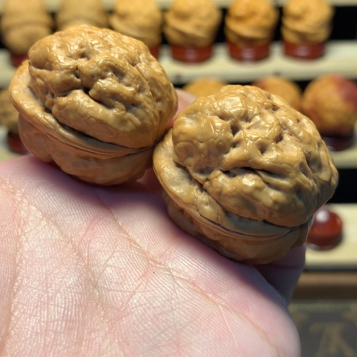 水***任文玩核桃把件35金蟾疙瘩包