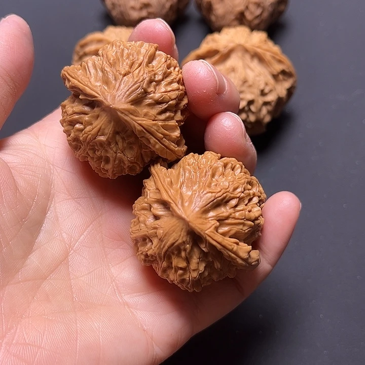 核桃把件蒜头40+已打底