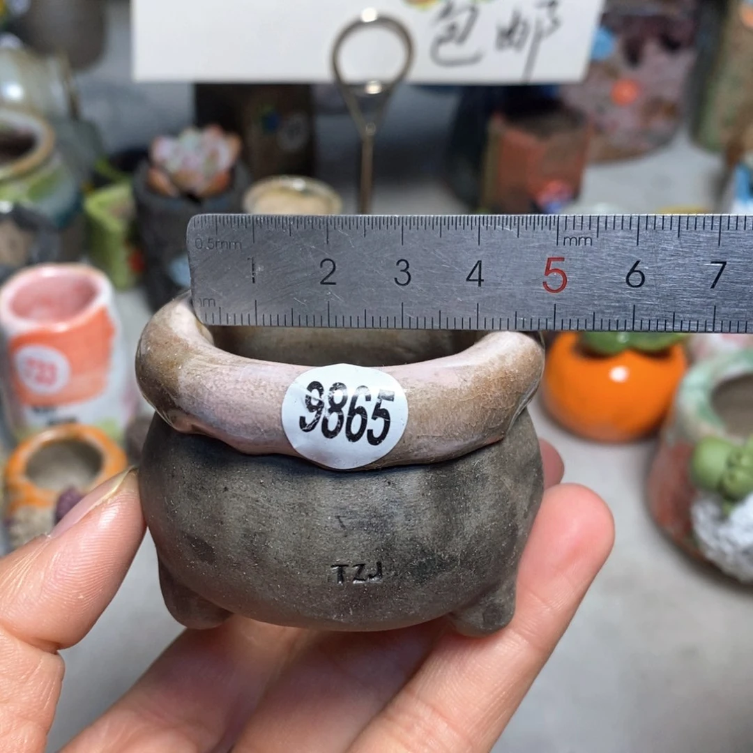 花盆拍3送一个小礼物