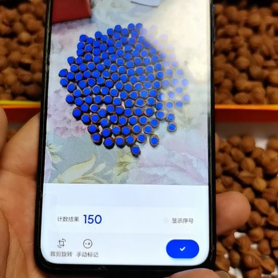 流***沙木质类野生原生态龙纹籽